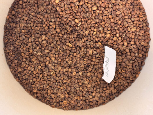 norange copenhagen roaster benjamin sand14
