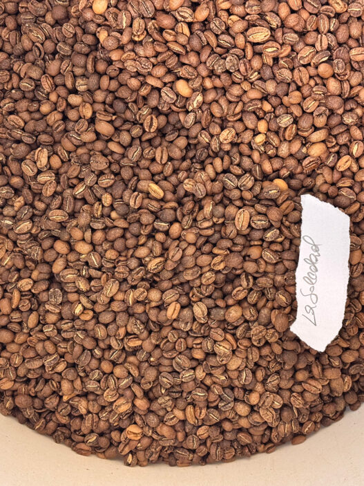 norange copenhagen roaster benjamin sand14