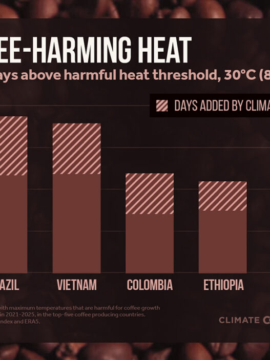 2026coffee bars national en title lg