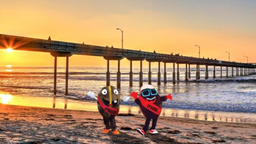 buzzy spesh san diego beach