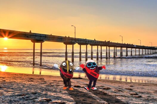 buzzy spesh san diego beach