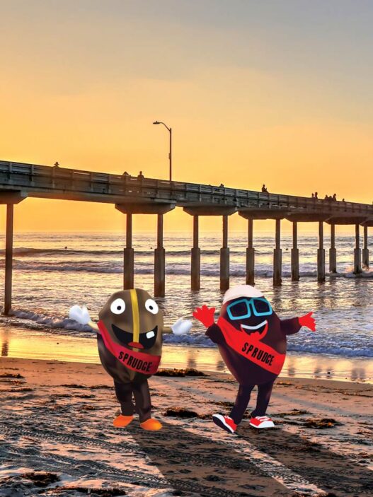 buzzy spesh san diego beach