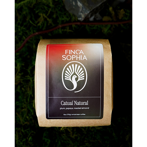 Equator Coffees Panama Finca Sophia Catuaí Natural Sprudge Roaster's Village