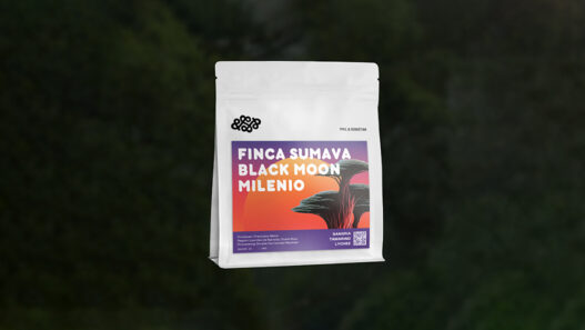 philseb finca sumava black moon sprudge roasters village copy