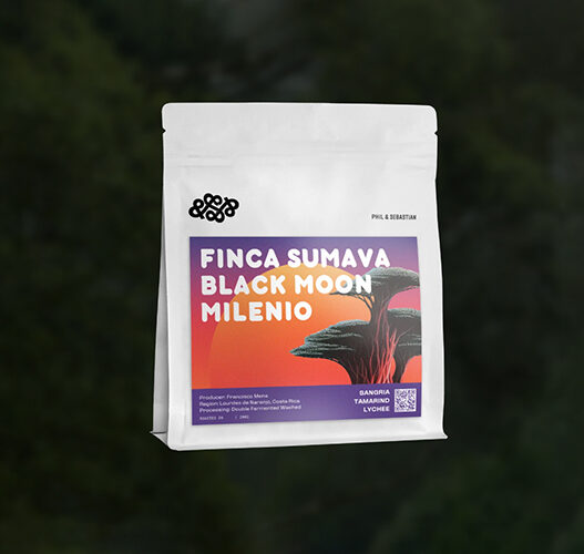 philseb finca sumava black moon sprudge roasters village copy