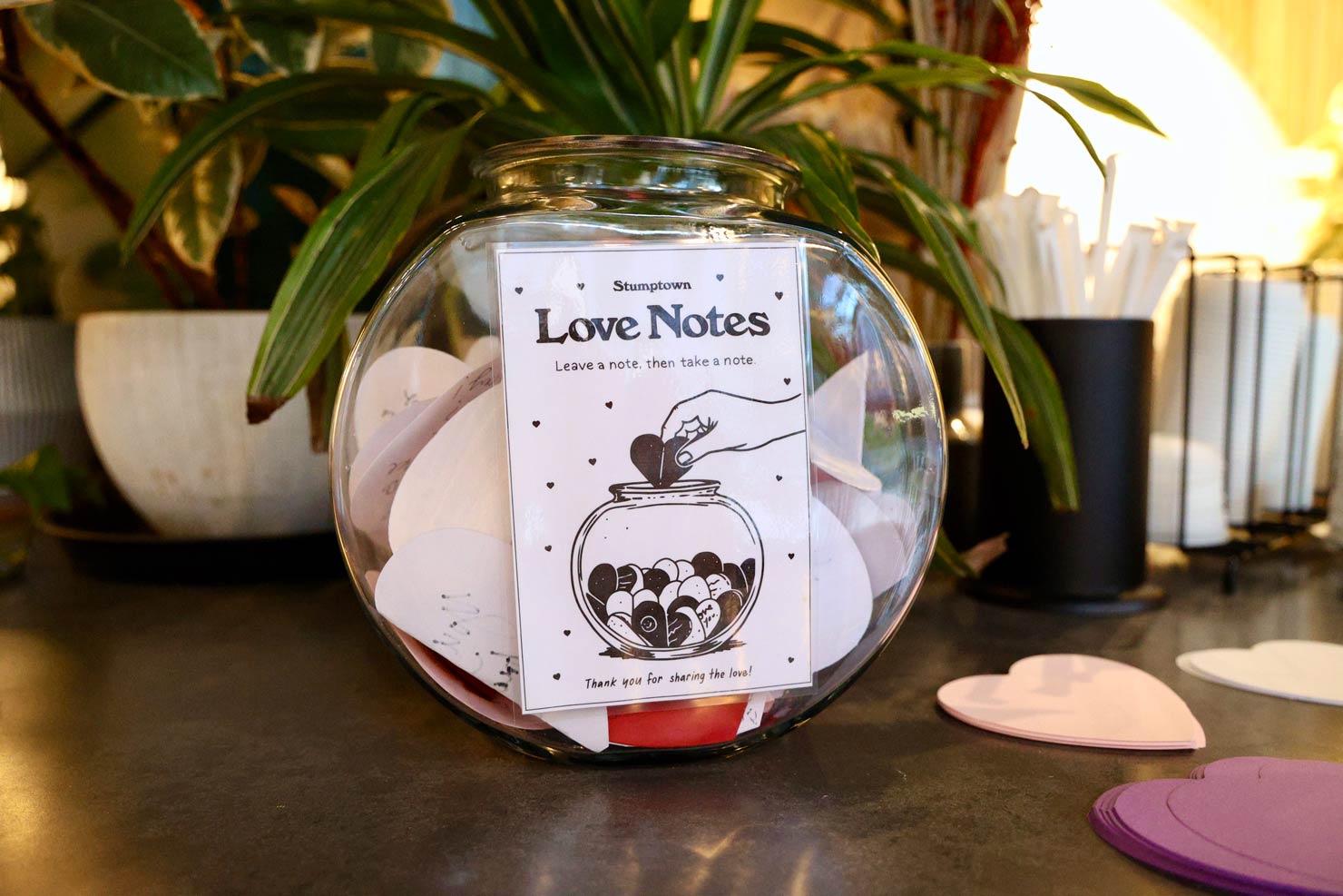 stumptown coffee love notes