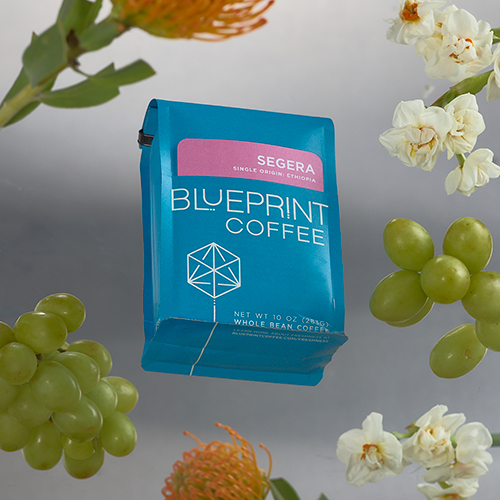 Blueprint Segera, Ethiopia Sprudge Roaster's Village