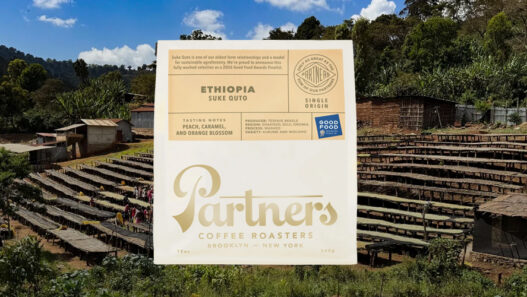 ethiopia suke partners