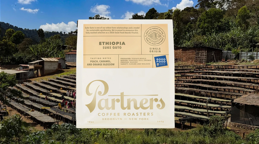 Do Honey Bees Dream Of Floral Coffee?