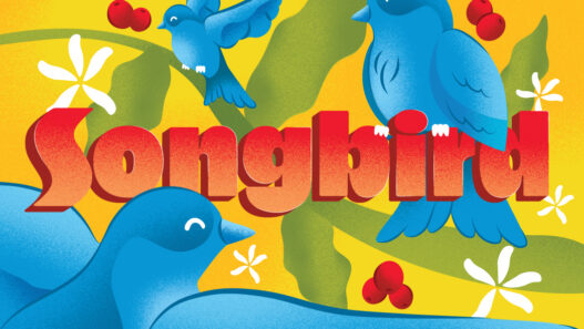 songbird printfile copy