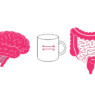brain gut axis