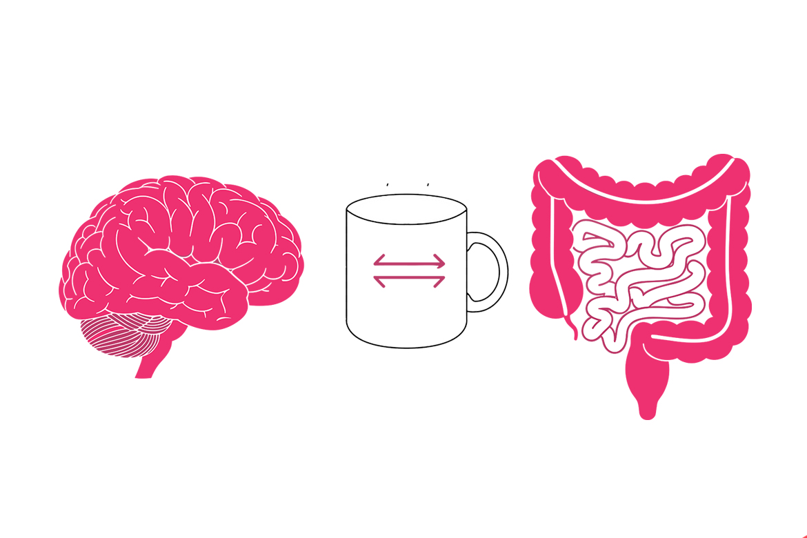 Coffee's Positive Effects On The Gut And The Brain May Be Related | Sprudge Coffee