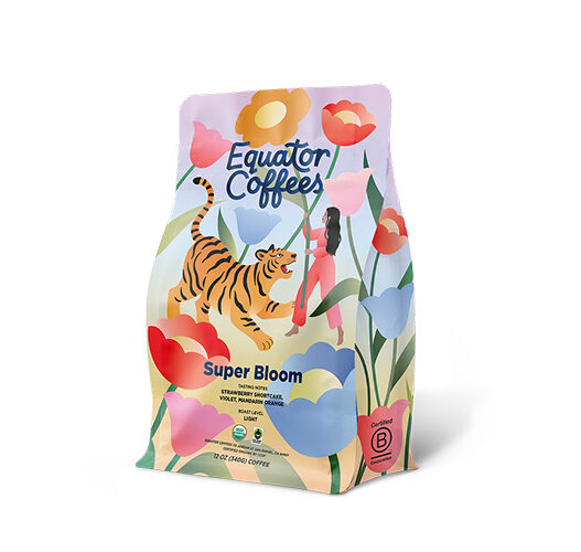 equator super bloom 2026 sprudge roasters village copy