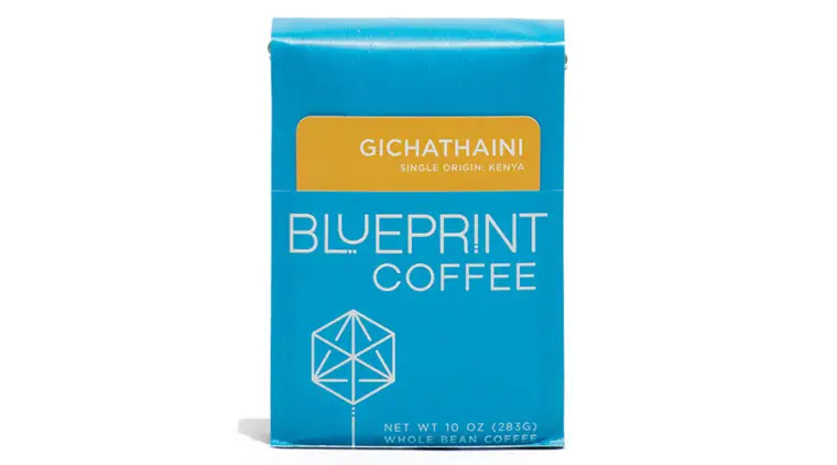 blueprint-gichathaini-kenya-sprudge-roasters-village copy