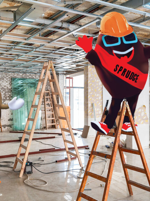 buzzy-and-spesh-build-out