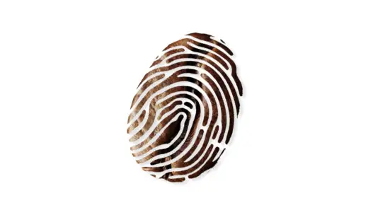 coffee touch fingerprint
