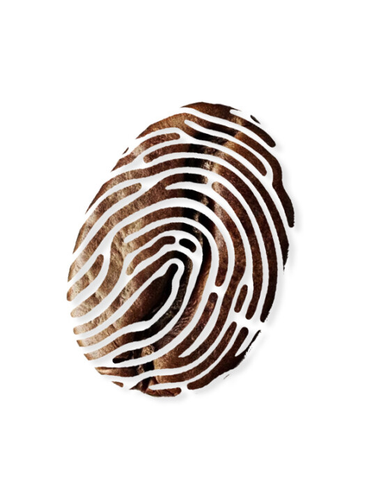 coffee touch fingerprint