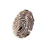 coffee touch fingerprint
