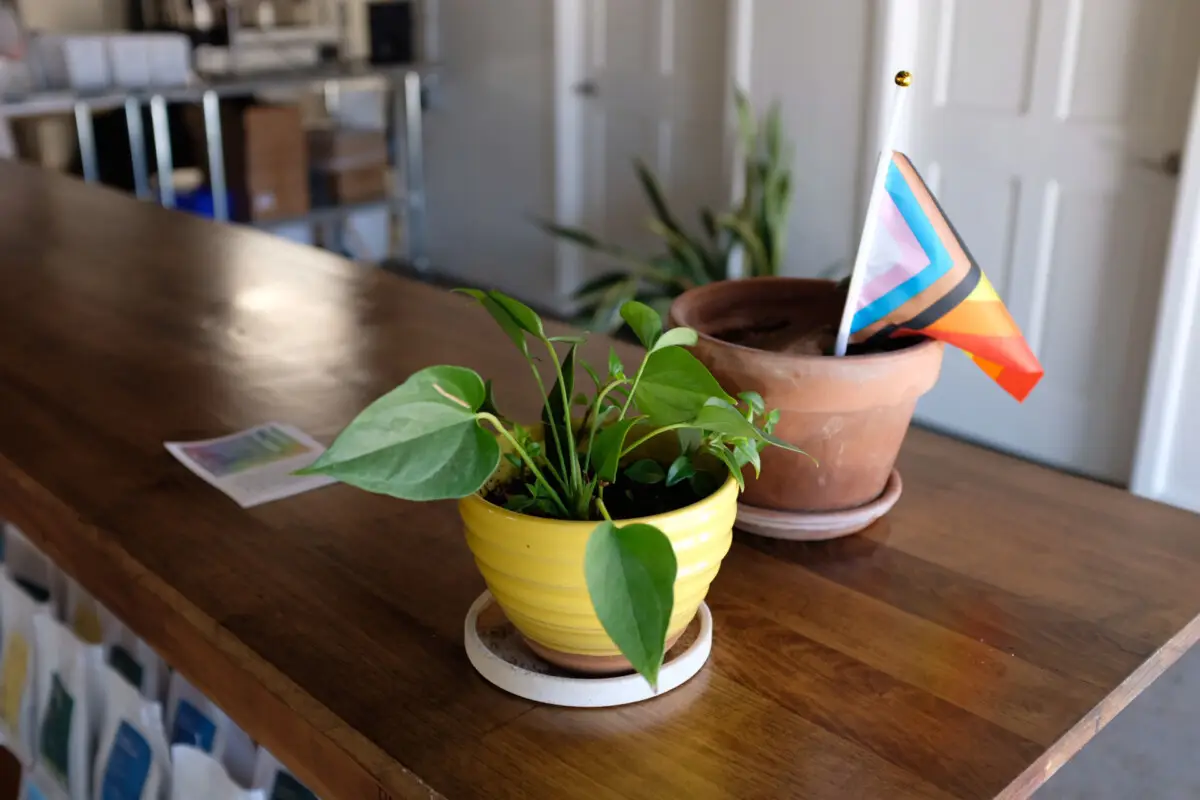 Indianapolis-Guide---helm-plant-flag