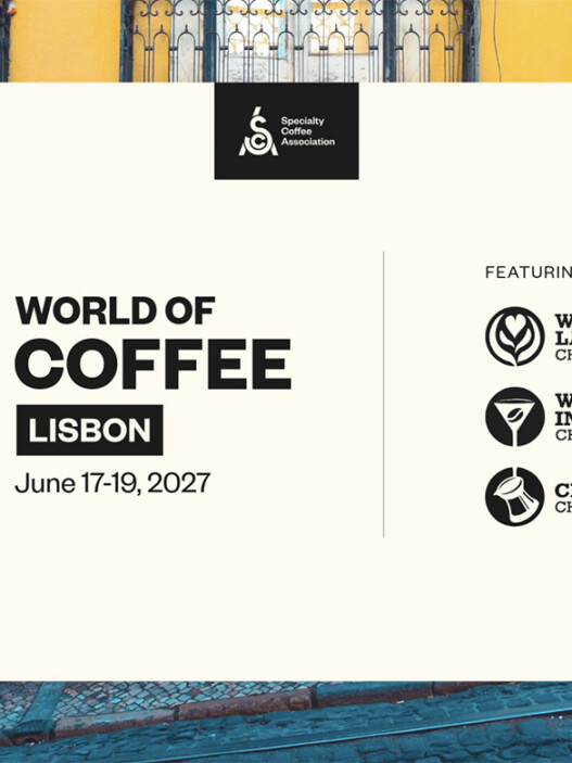 world of coffee lison