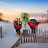pensacola beach dawn
