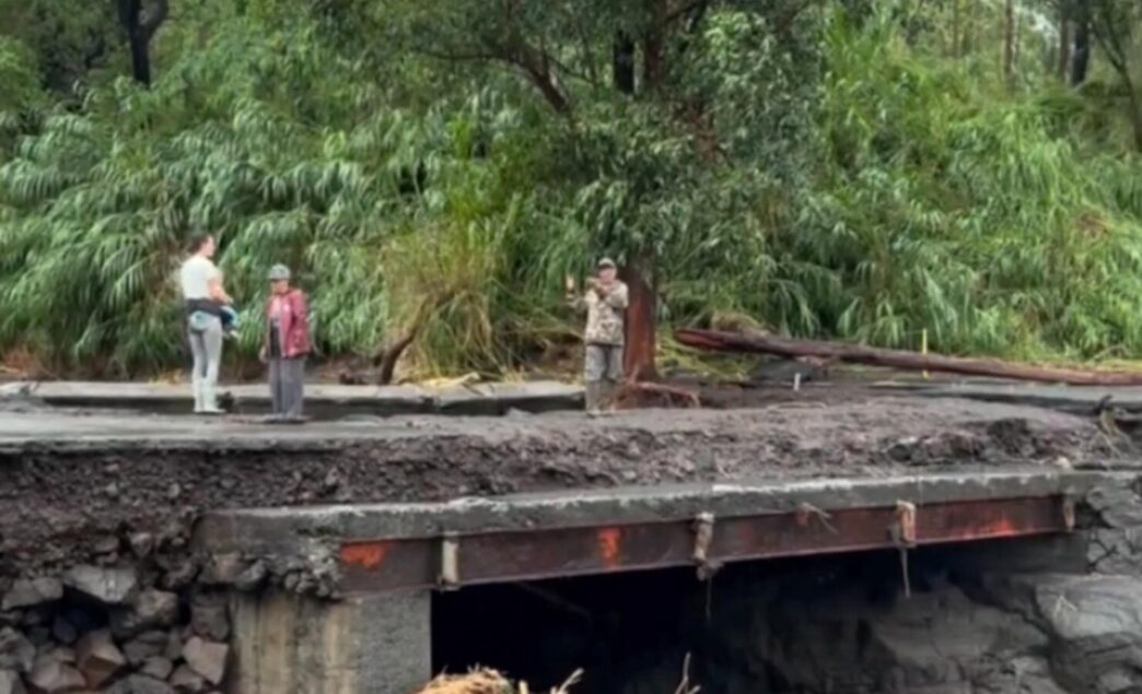 a coffee farm ig hurricane lala