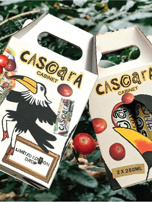 cascara cabinet rtd 01