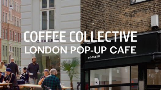 coffee collective rosslyn