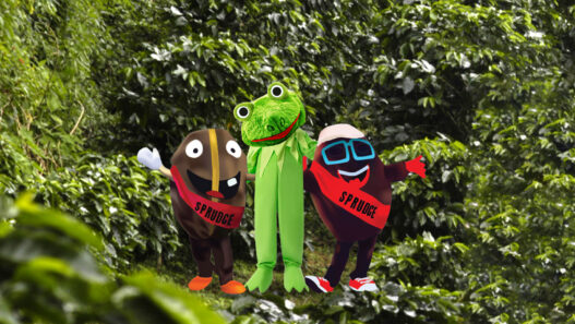 coffee frog buzzy spesh