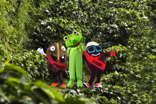 coffee frog buzzy spesh