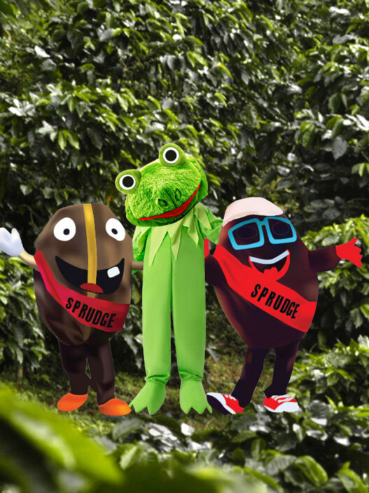 coffee frog buzzy spesh