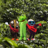 coffee frog buzzy spesh