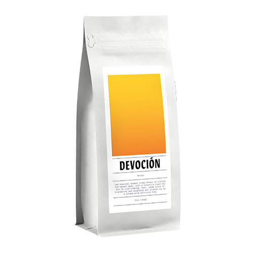 Devoción Sprudge Roaster's Village