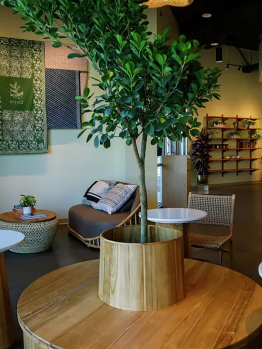 hijau coffee 5