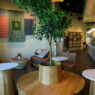 hijau coffee 5
