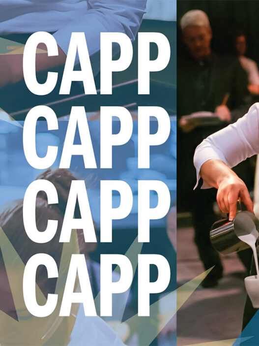 klatch comp capp copy