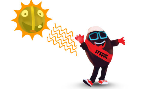 solar sun roasting buzzy spesh
