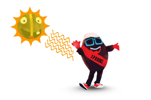 solar sun roasting buzzy spesh