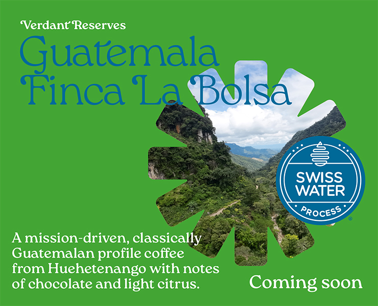 swiss water coffees