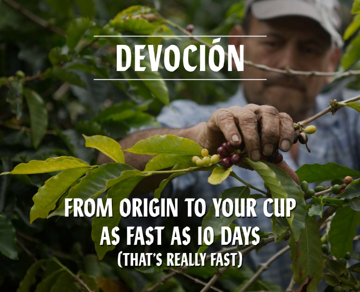 banner advertising Devoción Coffee