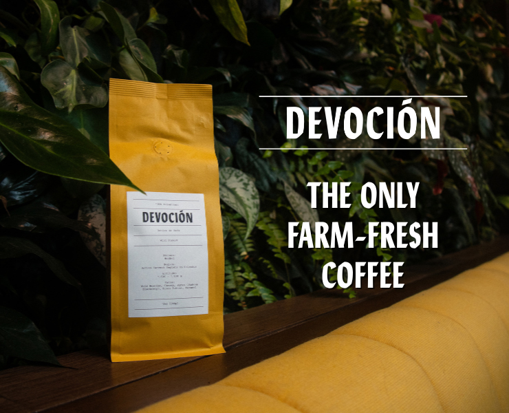 banner advertising Devoción Coffee
