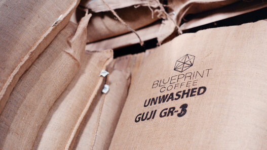 guji bag 01