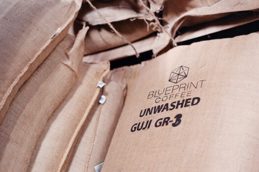 guji bag 01