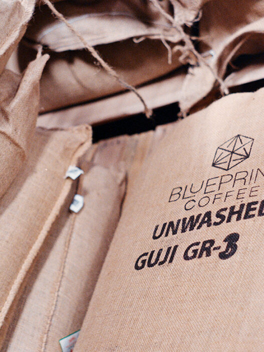 guji bag 01