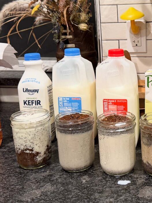 milk brews