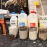 milk brews