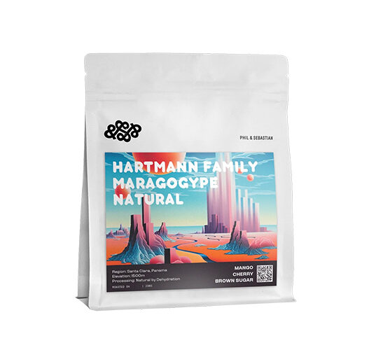 phil seb hartmann maragogype natural sprudge roasters village copy