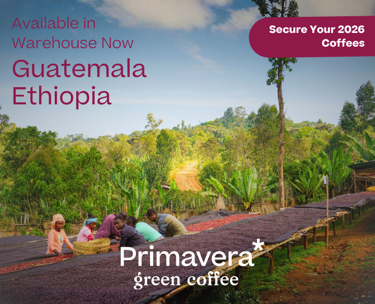 banner advertising primavera* green coffee