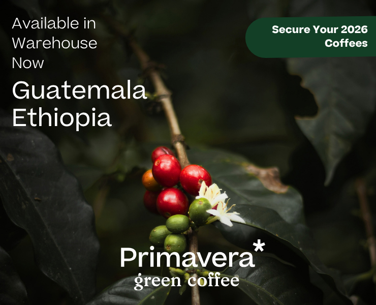banner advertising primavera* green coffee
