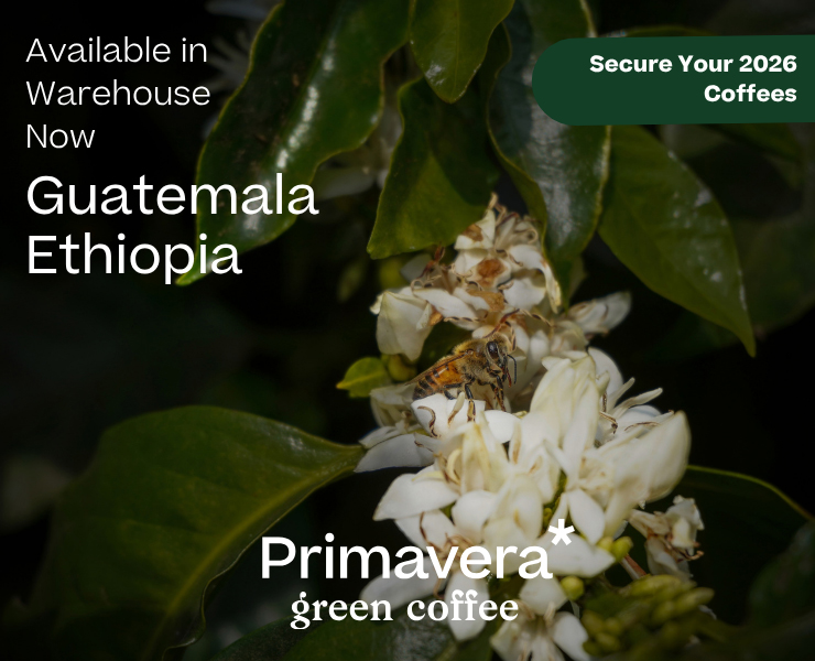banner advertising primavera* green coffee
